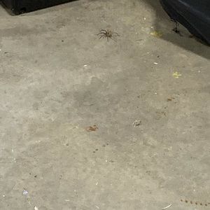 Meet your Posher, Johnathan